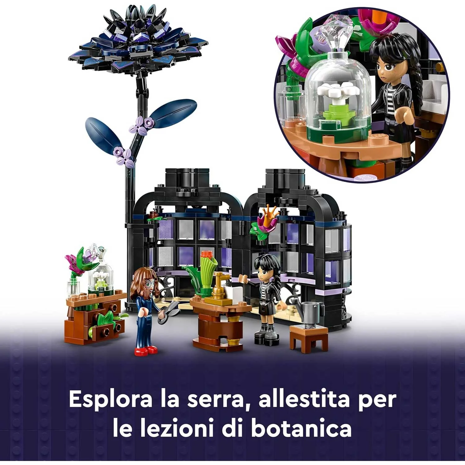 Immagine prodotto 5