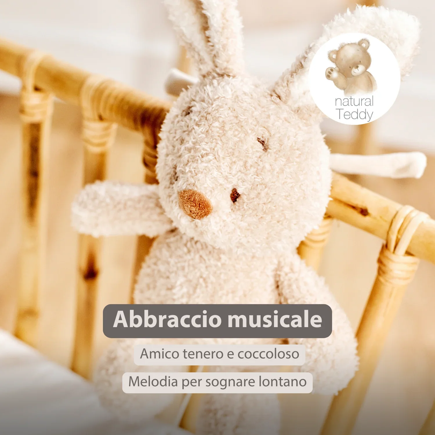 Immagine prodotto 2